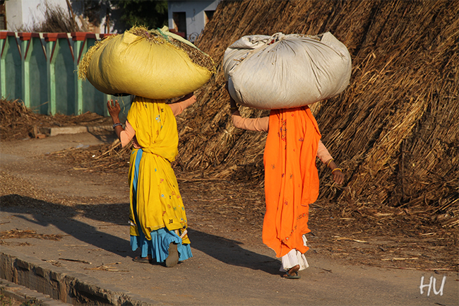 Hindistan     Fotoğraf: Halil Uğur 