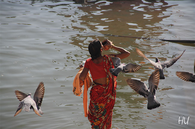 Kutsal suyu güvercinler eşliğinde içmek, Hindistan    Fotoğraf: Halil Uğur 