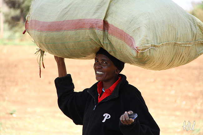 Başında soğan çuvalı, elinde telefon, umrunda mı dünya, Tanzanya       Fotoğraf: Halil Uğur