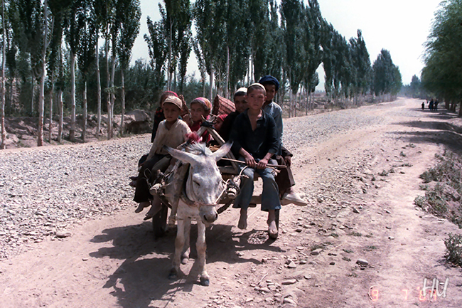 Yerel Takside Uygur Çocukları, Uygur Bölgesi, Çin, 1984 yılı     Fotoğraf: Halil Uğur 