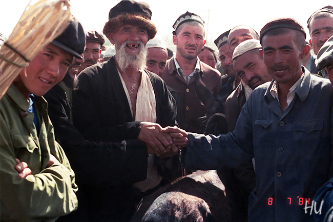 Hayvan Satışı, Kaşgar, Uygur Bölgesi, 1984 yılı     Fotoğraf: Halil Uğur