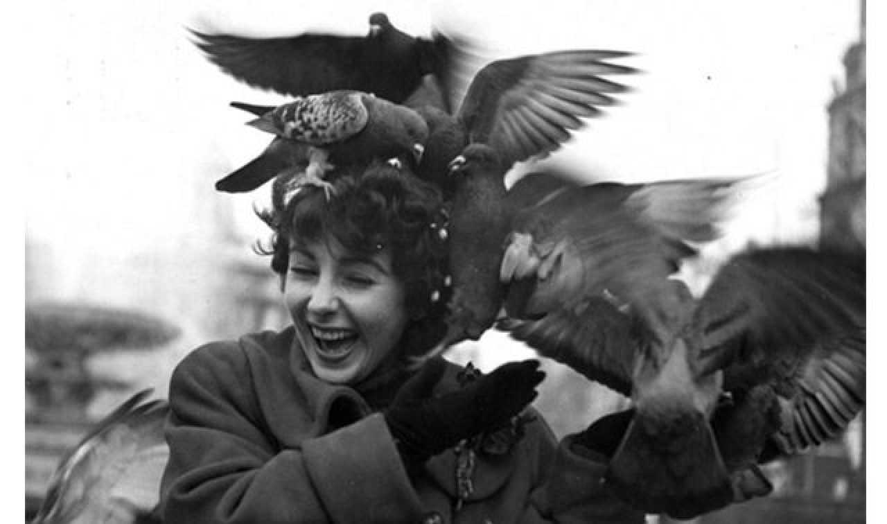 “Twitter”da Pazarlama - Yasemin Uğur (Pazarlama - Sosyal Medya)