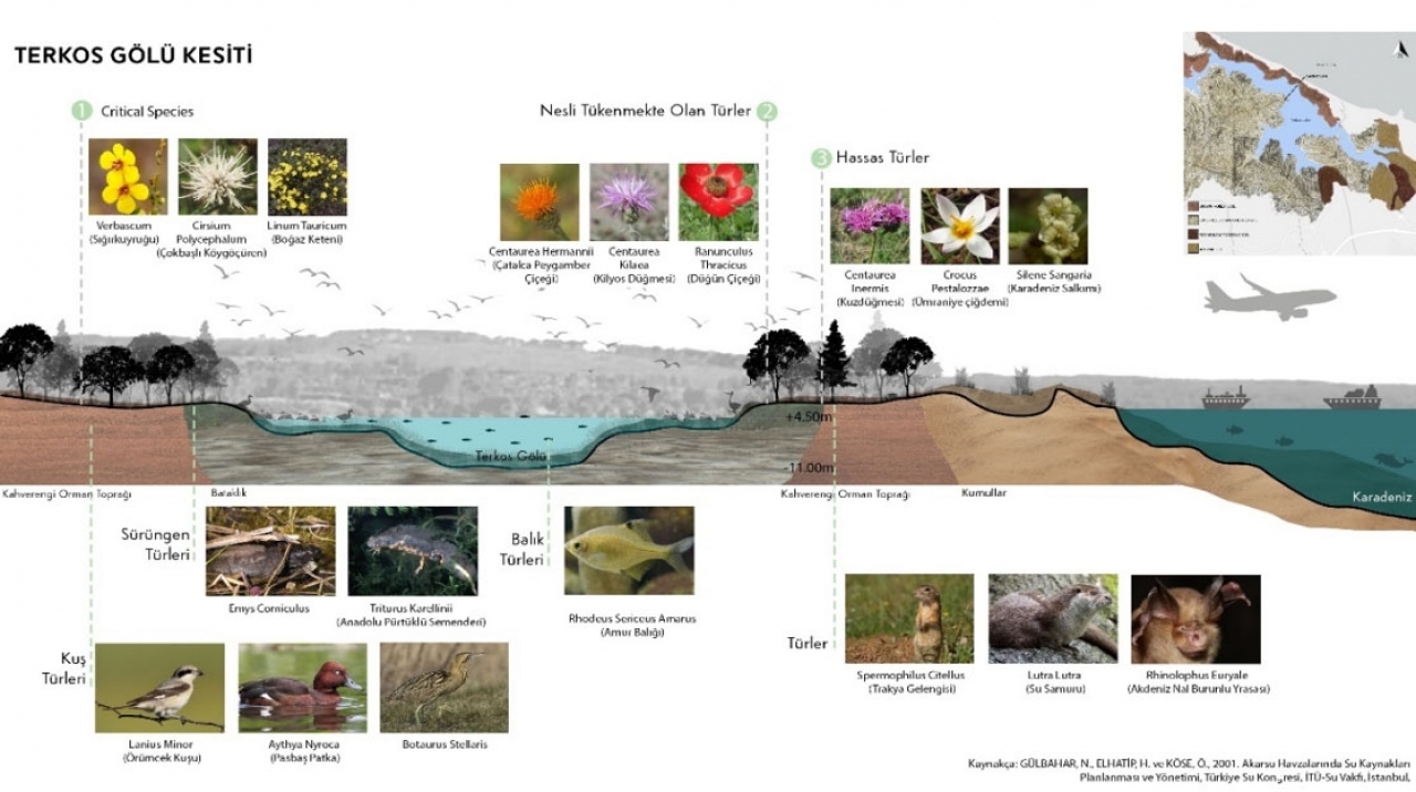 Terkos Gölü Flora ve Fauna İncelemesi
