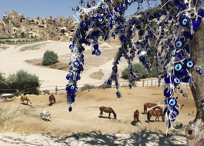 Özgür atlar ülkesi Kapadokya  'Zeynep Yıldırım'