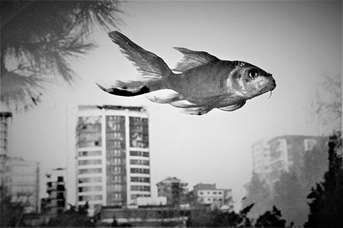 Söylenecek bir şey yok, görmek lazım… - Elif Ülkü Arıcı (Fotoğraf )